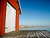 Shed by the sea