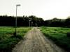 The road less traveled
