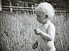 Kalle of the fields