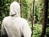 Seeing the forest for the trees