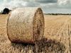 Return of the hay roll