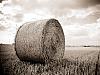 Hay roll redux