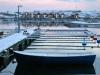 A less bleak view of a Hunnebostrand winter