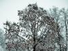 A small taste of winter