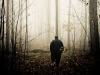 A walk in the woods