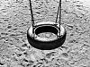 The tire swing (and its shadow)