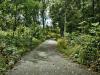 The pathway